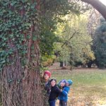phoca_thumb_m_v zmeck 6 Fotogalerie
